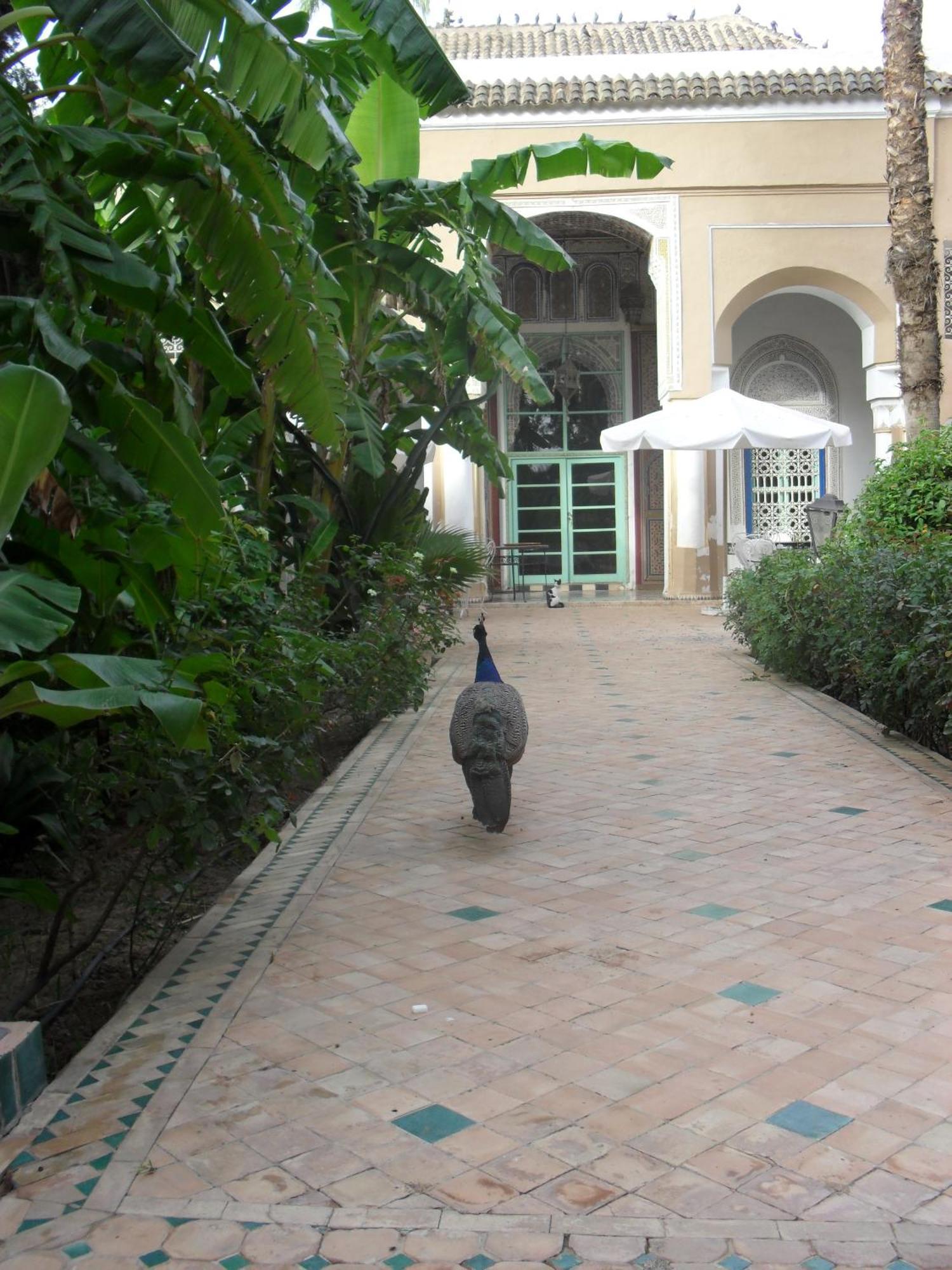 Palais Riad Hida Oulad Barrehil エクステリア 写真